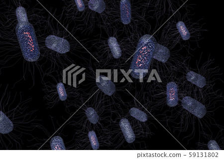 Illustration of E. coli (computer graphic) Illustration of E. coli (computer graphic) 59131802