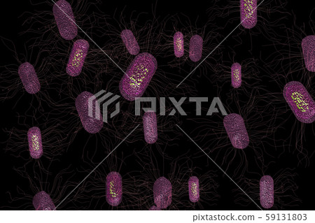 Illustration of E. coli (computer graphic) Illustration of E. coli (computer graphic) 59131803