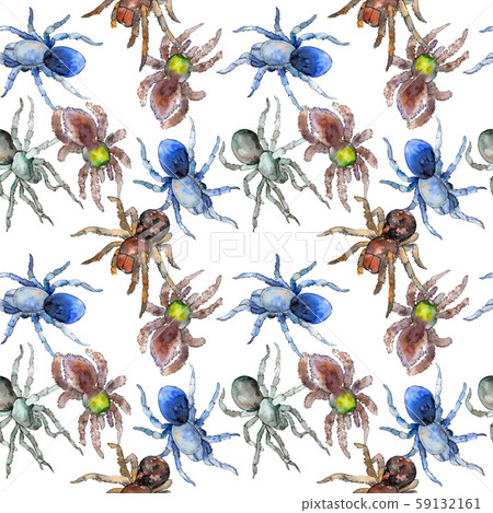 Exotic tarantula spider wild insect. Watercolor background illustration set. Seamless background 59132161