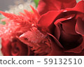 Christmas 59132510