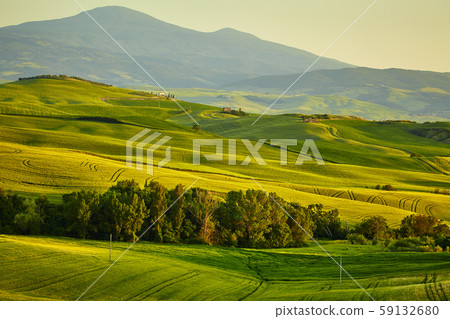 Tuscany hills 59132680