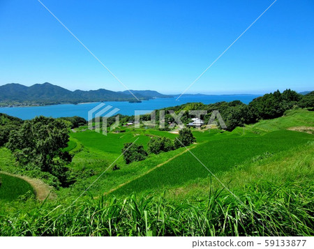 A landscape that seems to be a Japanese village woven by the Sea of Japan and the fields seen during a drive around Yamaguchi, Tsunoshima, and the island (3) A landscape that seems to be a Japanese village woven by the Sea of Japan and the fields seen during a drive around Yamaguchi, Tsunoshima, and the island (3) 59133877