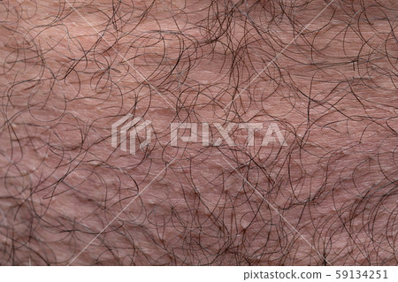 Photo of man's pubis with the black hairs, closeup photo 59134251
