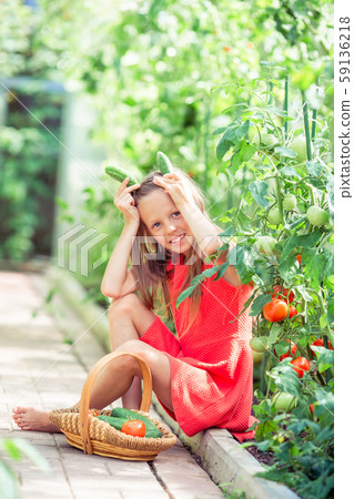 Adorable little girl harvesting cucumbers and tomatoes in greenhouse. 59136218