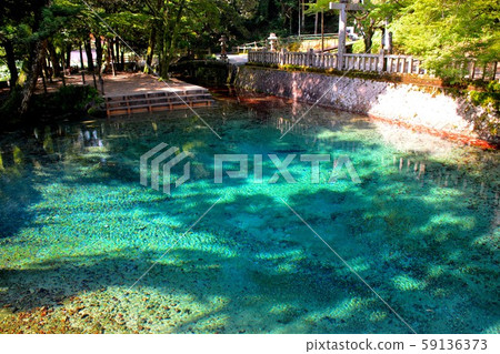 反映山口,宮城,別府本田尼克和樹木陰影的別府本田尼克美麗的藍色水面(3) 反映山口,宮城,別府本田尼克和樹木陰影的別府本田尼克美麗的藍色水面(3) 59136373