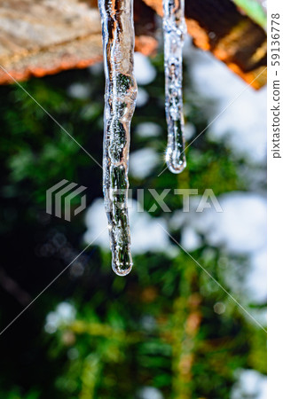 Frozen icicle on the edge of the roof of the house Frozen icicle on the edge of the roof of the house 59136778