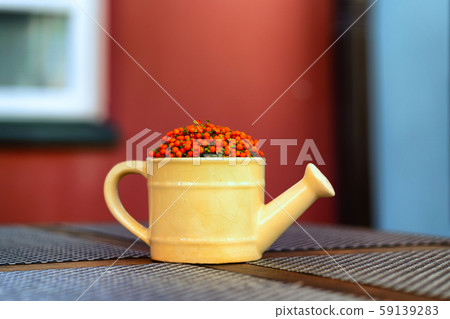 Ceramic watering can with red berries 59139283
