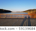 deck 59139684