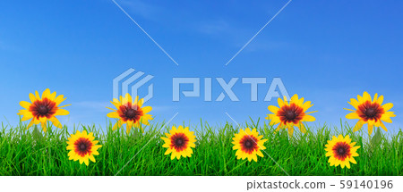 Flowers and green grass template 59140196