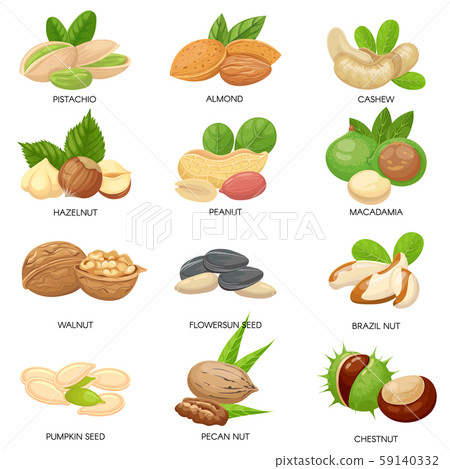 Nuts and seeds. Raw peanut, macadamia nut and pistachio snacks. Plant seeds, healthy cashew and Nuts and seeds. Raw peanut, macadamia nut and pistachio snacks. Plant seeds, healthy cashew and 59140332