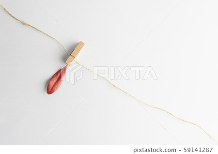 Dry leaves on a rope ,Leaf with copy space Dry leaves on a rope ,Leaf with copy space 59141287
