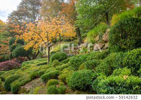 Fantastic autumn in Japanese garden in Kaiserslautern Fantastic autumn in Japanese garden in Kaiserslautern 59142632