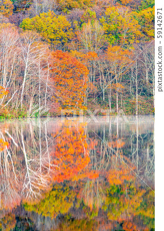 Togakushi Shrine Kagamiike Autumn leaves [Nagano Prefecture] 59142671