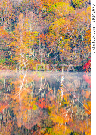 Togakushi Shrine Kagamiike Autumn leaves [Nagano Prefecture] 59142679