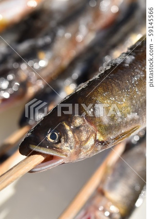 鹿兒島縣和泉市高尾町鹽烤香魚 59145566