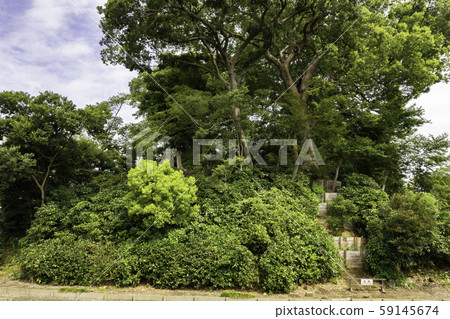 川越城堡藤見遺跡(Sa玉縣川越市) 川越城堡藤見遺跡(Sa玉縣川越市) 59145674