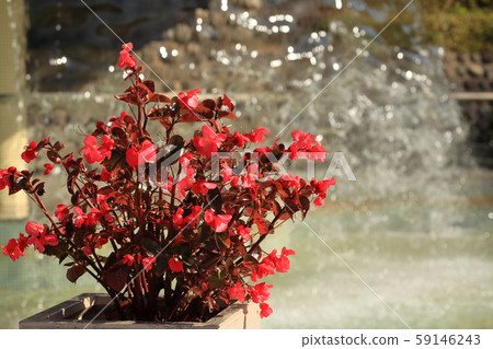 Michinoku市政府湖濱公園 59146243