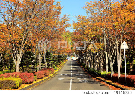 Michinoku市政府湖濱公園 59146736