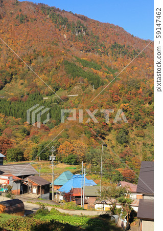秋山鄉小澤村的秋天 59147462