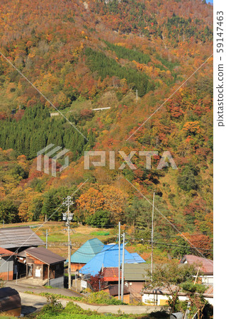 Autumn in Koakasawa Village, Akiyamago 59147463
