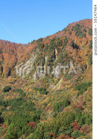Akiyamago's Autumn Fuiwa distant view 59147464
