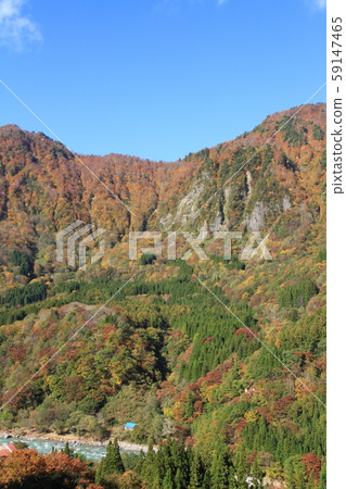 Akiyamago's Autumn Fuiwa distant view 59147465