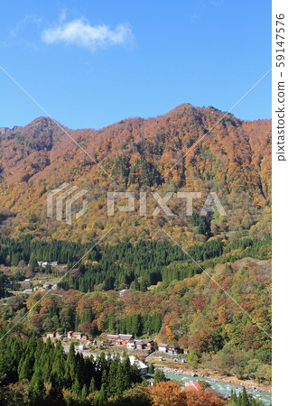 Akiyama-go's Autumn Autumn leaves and mansion village 59147576