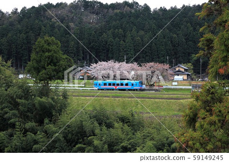 Hanamomo no Sato 55 (Sahara, Motosu City, Gifu Prefecture) 59149245