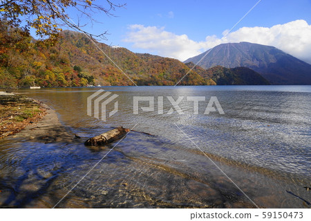十月日航323號千葉濱秋葉,中禪寺湖和富士山。 十月日航323號千葉濱秋葉,中禪寺湖和富士山。 59150473