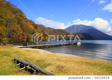 十月日光317號千葉濱秋葉,中禪寺湖和富士山。 十月日光317號千葉濱秋葉,中禪寺湖和富士山。 59150479