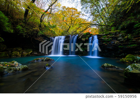 《Kuju Mountain Range, Oita Prefecture》Dusame Falls and autumn leaves 59150956