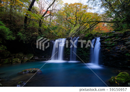 《大分縣九州山脈》芝麻瀑布和秋葉 59150957