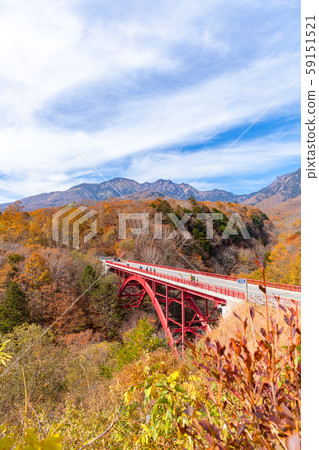 Kiyosato, Red Bridge, Higashizawa Bridge, Autumn Leaves, Autumn, Higashizawa Bridge Observatory 59151521