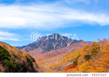 Kiyosato, Red Bridge, Higashizawa Bridge, Autumn Leaves, Autumn, View from Higashizawa Bridge Observatory 59151523