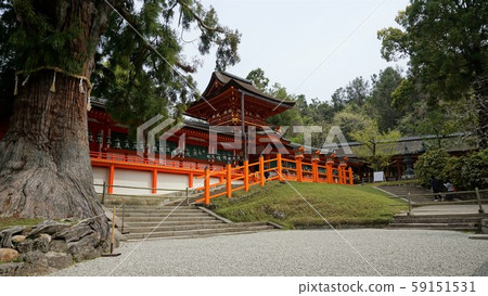 春日大社 春日大社 59151531