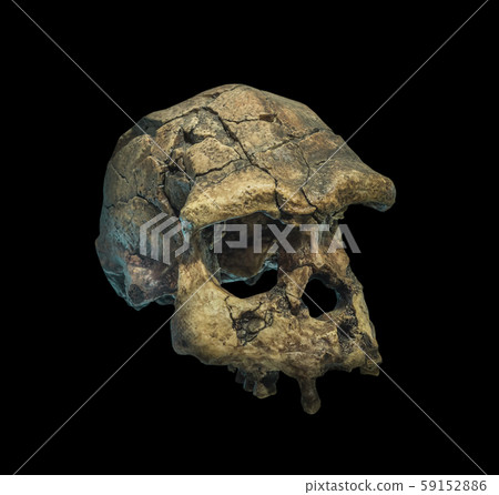Skull of the person on a black background. 59152886