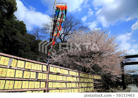 Oda Nobunaga's Castle Town, 81 (Nara, Gifu City, Gifu Prefecture) Oda Nobunaga's Castle Town, 81 (Nara, Gifu City, Gifu Prefecture) 59153463