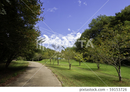 早島芙蕾愛森公園露營地通往室外舞台 岡山縣筑波郡早島町 照片素材 圖片 圖庫