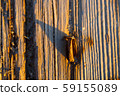 Rusty nail in wooden plank 59155089