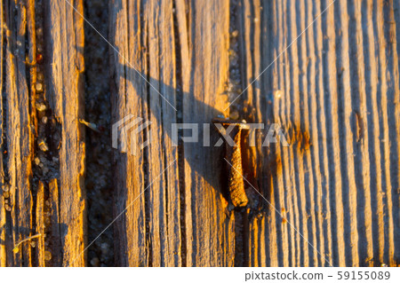 Rusty nail in wooden plank Rusty nail in wooden plank 59155089