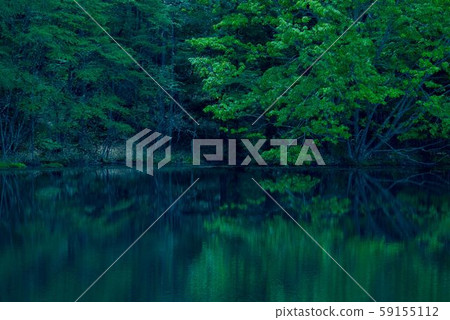 反射 反射 59155112