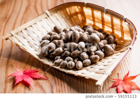 竹草 竹草 59155113