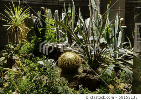 Castle Underground Square Shirochi Succulent Botanical Garden, Okayama City, Okayama Prefecture Castle Underground Square Shirochi Succulent Botanical Garden, Okayama City, Okayama Prefecture 59155135