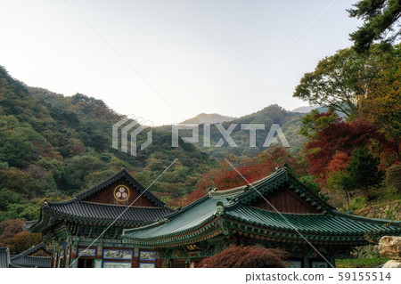 yongmunsa temple in autumn yongmunsa temple in autumn 59155514