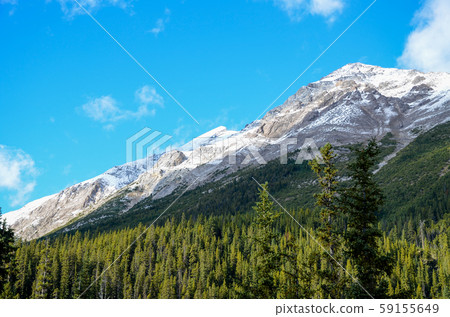 加拿大落基山脈在秋天(無黃葉)在冰原大道(加拿大艾伯特) 加拿大落基山脈在秋天(無黃葉)在冰原大道(加拿大艾伯特) 59155649