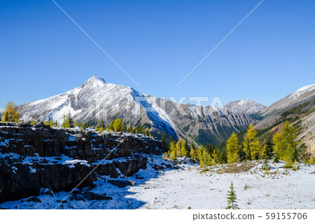 秋季加拿大落基山脈幽鶴國家公園山脈和黃色的葉子(加拿大奧哈拉湖地區) 秋季加拿大落基山脈幽鶴國家公園山脈和黃色的葉子(加拿大奧哈拉湖地區) 59155706
