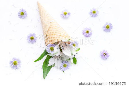 Top view wedding or catering decor. White flowers Top view wedding or catering decor. White flowers 59156675