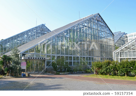 Tsukuba Botanical Garden (Tsukuba Botanical Garden) Tropical Resource Plant Greenhouse 59157354