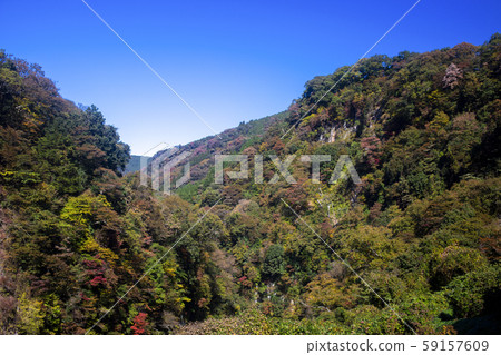 長俊祺秋葉 59157609