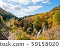 藤花瀑布和富士山 59158020